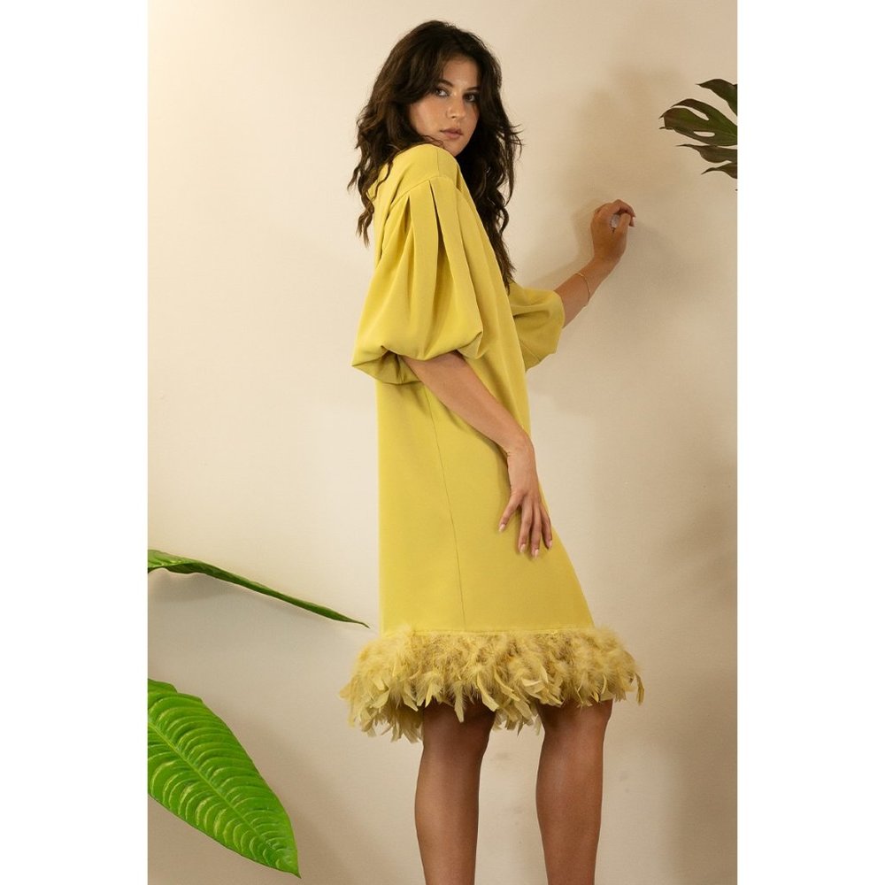 NWT: Mulla | Feather Balloon Sleeve Dress